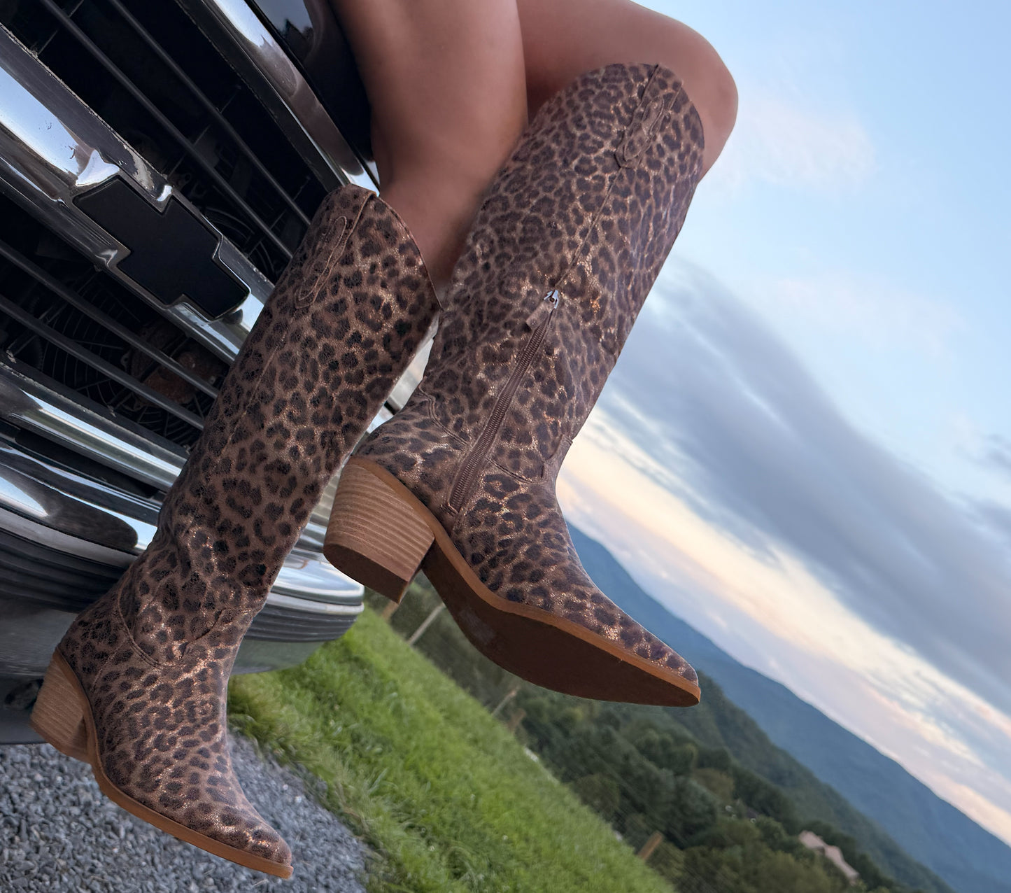Wild Heart Cowboy Boots