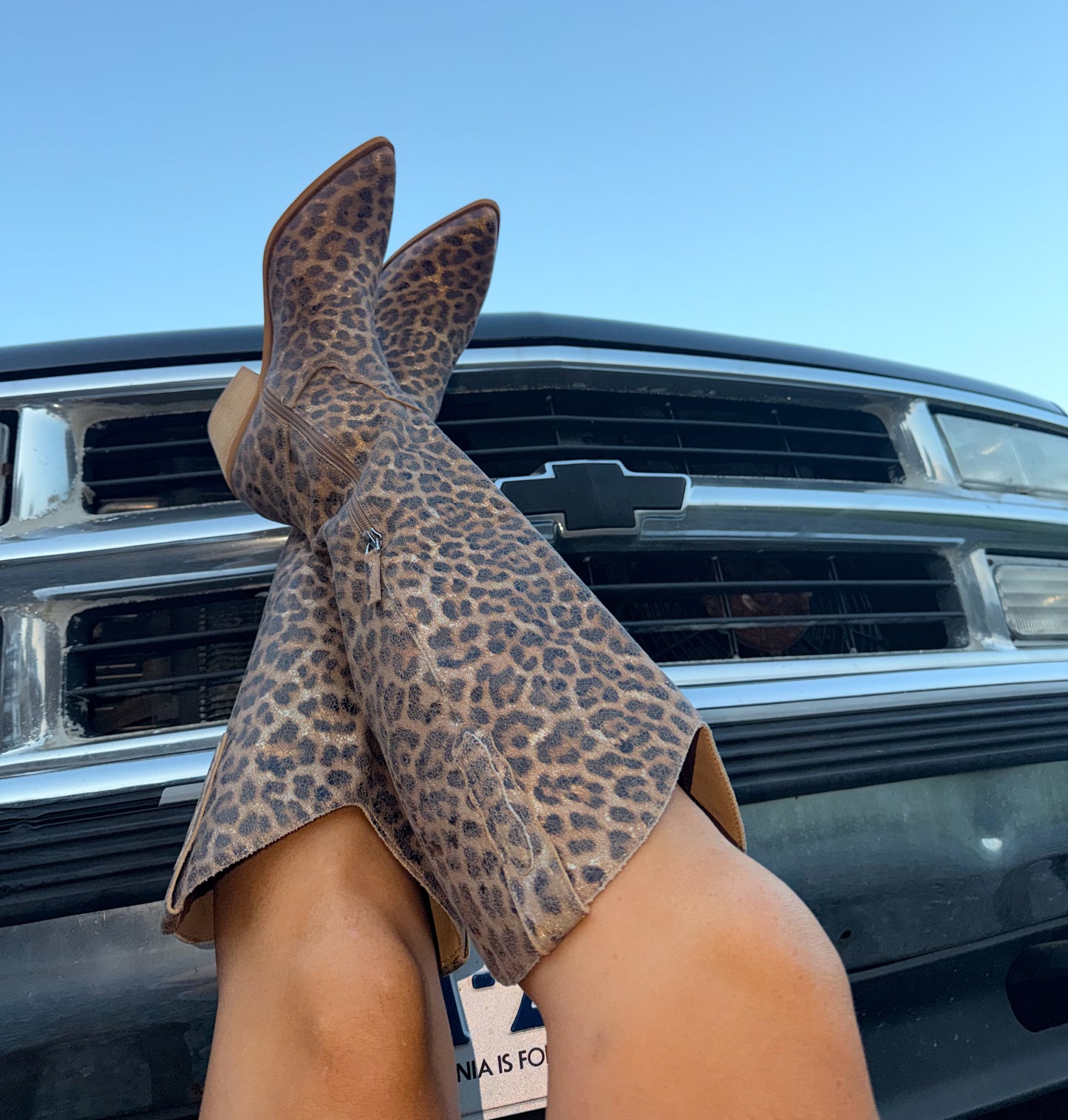 Wild Heart Cowboy Boots