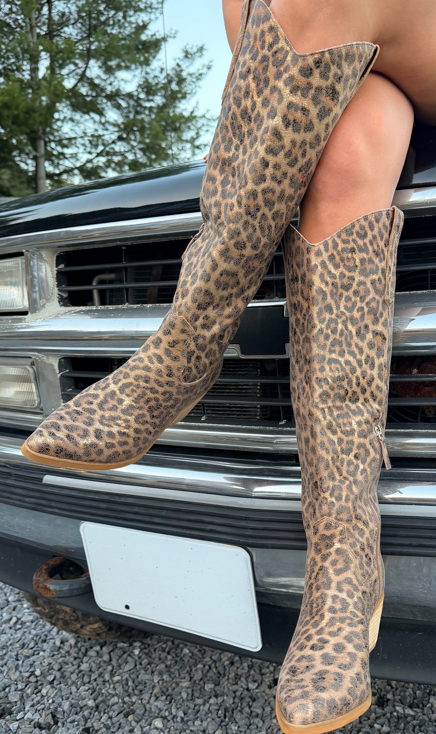 Wild Heart Cowboy Boots